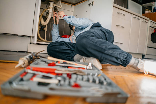 Best Plumbing Inspection Services  in Old Bethpage, NY